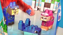 Nickelodoen PAW PATROL Adventure Bay Block Set Lego Ionix Jr. Toy Chase, Skye Hunt Surprises / TUYC