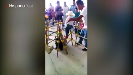 Niño mexicano prueba que será un gran montador de toros