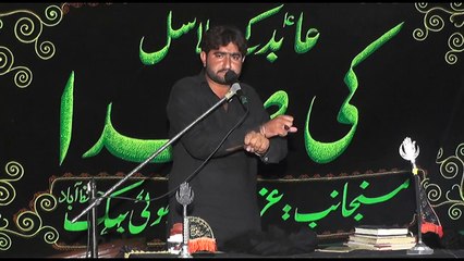 Zakir Fida Hussain Hashmi 13th Muharam 1439(2017) Choti Behak Hafizabad