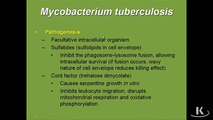 Microbiology Mycobact