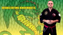 KO Intro : Devastating Knockouts | Dragon Society Internationa