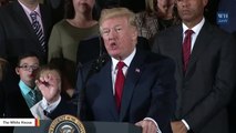 Trump Declares Opioid Crisis A Public Health Emergency