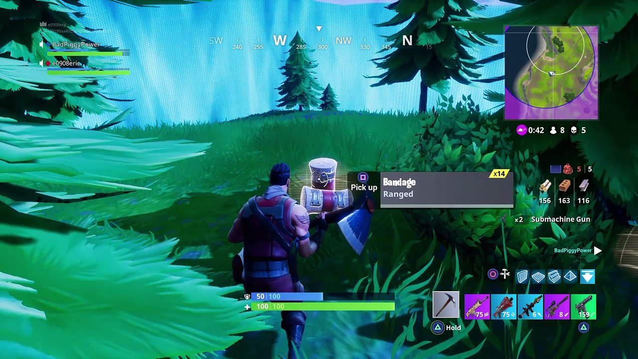 Fortnite how did we win
