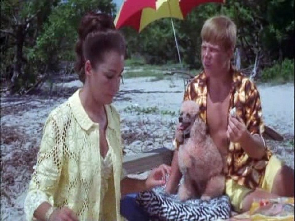 Flipper 1964 S03e19 Aunt Martha