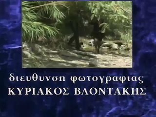 12. Ταύρος με Τοξότη - Επεισόδιο 12ο