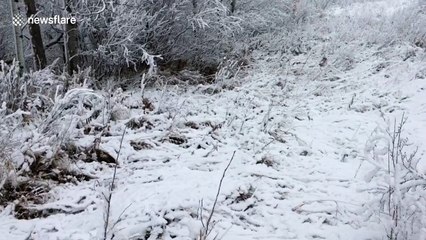 First snowfall turns Manitoba into winter wonderland