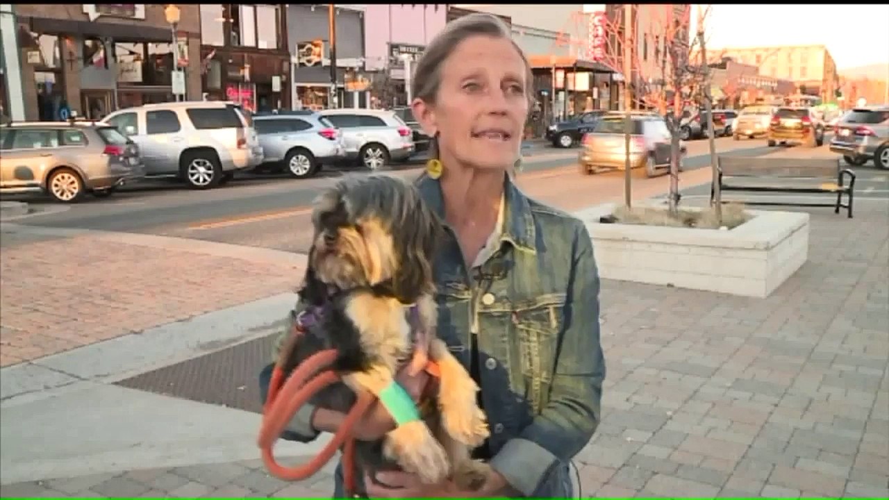 Missing Dog Survives Three Days Inside Locked, Stolen Truck