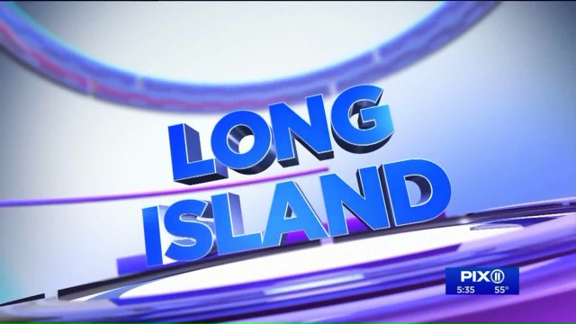 Woman Spends a Night in Jail After Elaborate Story to Get Out of Ticket