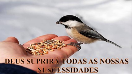 DEUS SUPRIRÁ TODAS AS NOSSAS NECESSIDADES
