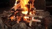 Cooking Steak on the Grill at The Bushcraft Camp - Log Cabin Fire, Wood Splitting.
