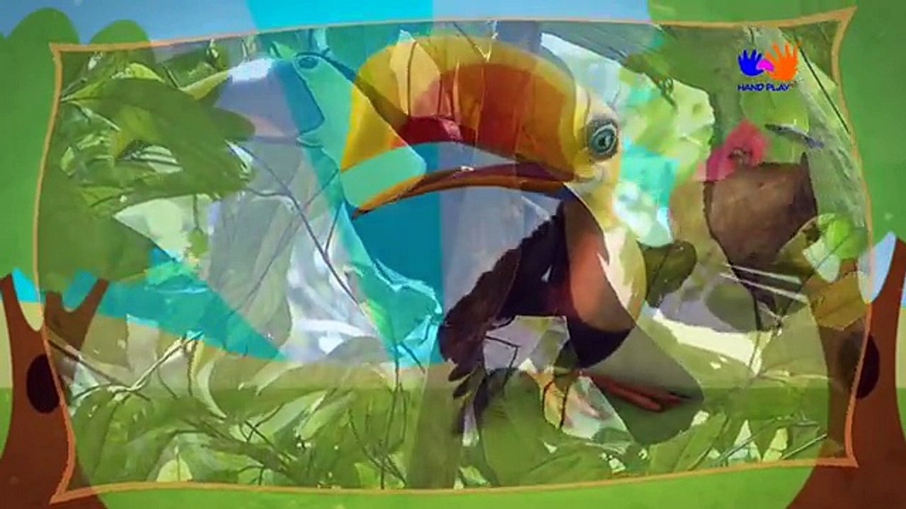 Vahşi Öğrenme Hayvanlar | Kuş Sesler ve Adı Çocuklar İçin | Handplaytv İngilizce Çocuk öğrenin