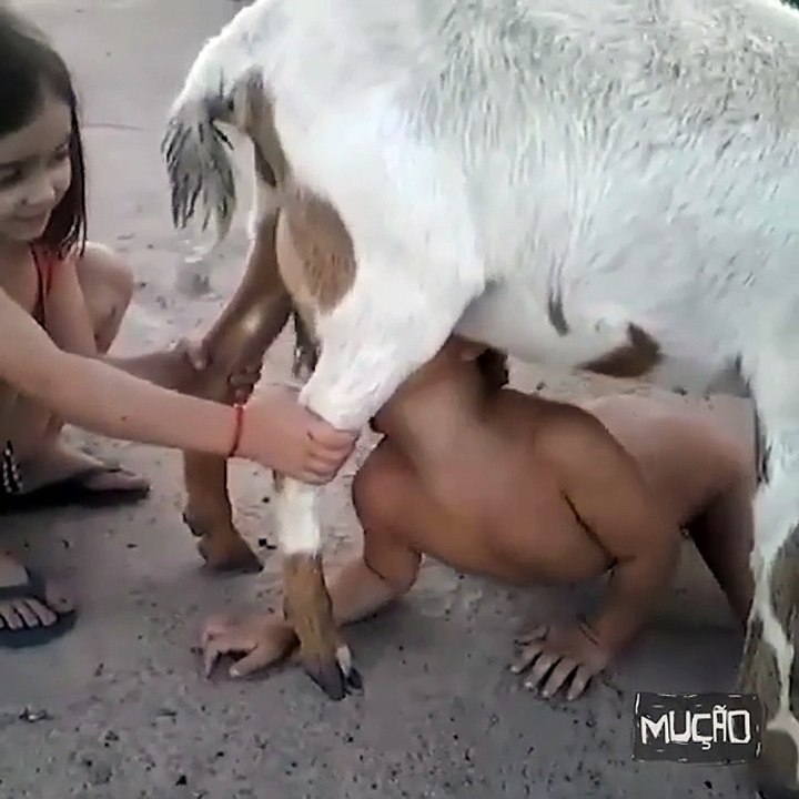 Nos peitos da Cabritinha