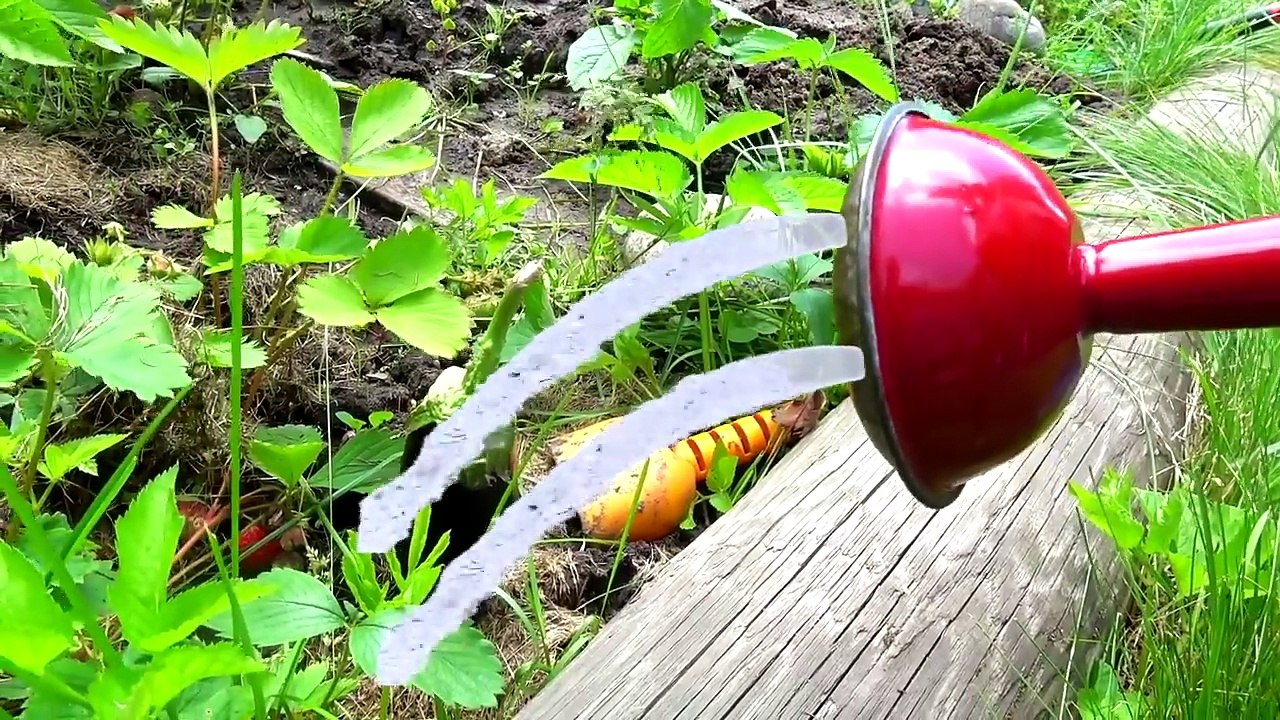 Funny Baby playing with Giant toy Food Nursery Rhymes Songs for children-Z_-WHOfbwpA