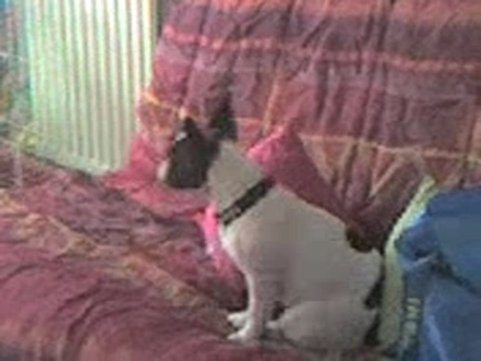 anis qui écoute les black eyed peas pump it!!!!