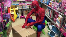 Bad Baby steals toys with spiderman ! Johny Johny Yes Papa Nursery Rhymes Learn colors for kids