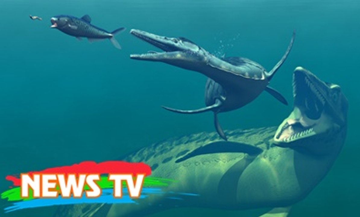 Cận cảnh quái vật kỷ Jura - Tổ tiên của "sát thủ ăn thịt" đáng sợ nhất đại dương