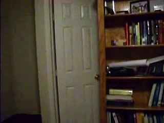 capgras syndrome project