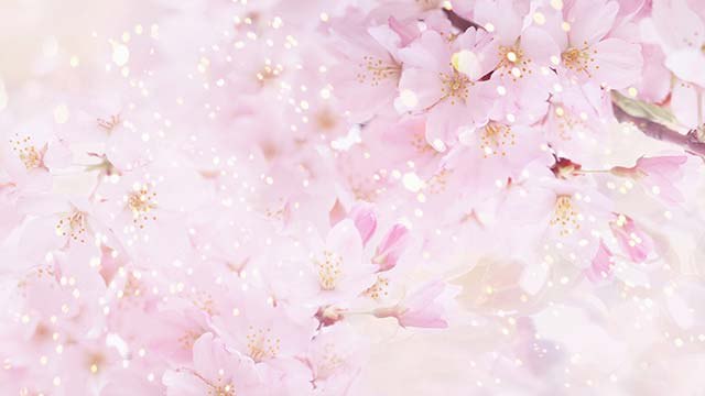 Download PDF Real Estate Appraisal Principles and Procedures FREE