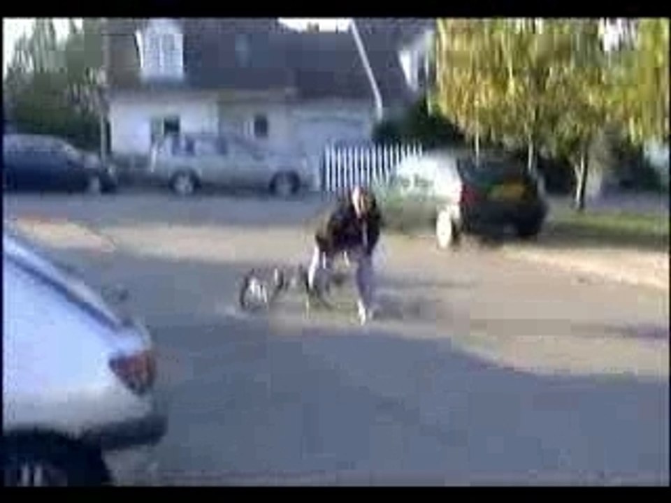 bmx chute