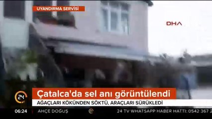 Ağaçları kökünden söktü