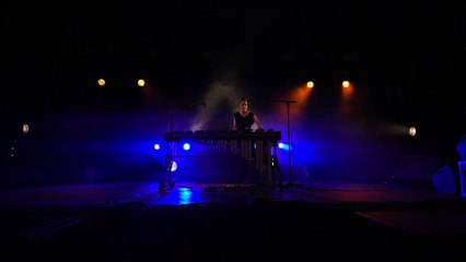 Fièvre à Beautés Soniques