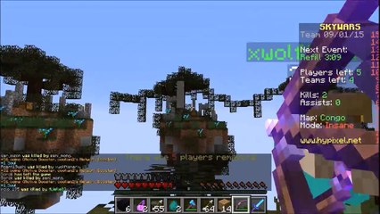 Minecarft Skywars Win - Oh yes - see us win and such a quick game!