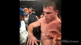 Canelo Suffers Fractured Hand, Won’t Fight Until 2017