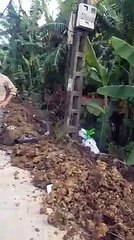 Hải Dương Trưởng công an xã thẳng tay tát phụ nữ