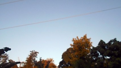 Avistamiento de OVNI? Poza RIca-Veracruz-MX