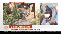 İzmirli Afro Türkler