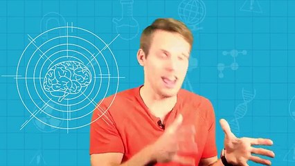 What Is Déjà Vu? Brit Lab