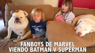 Batman V Superman | Review | Nerd profiles