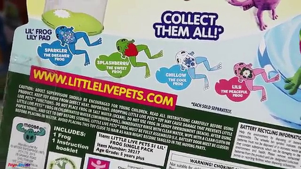 Little Live Pets Frogs & Lily Pad - Frog Race Challenge - Kids Toy Review & Play
