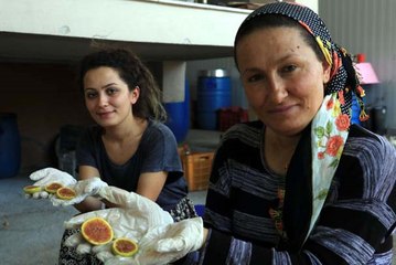 İncir Cipsinin Mucidi Anne-Kızı Cumhurbaşkanı, Cumhuriyet Bayramı Resepsiyonuna Davet Etti