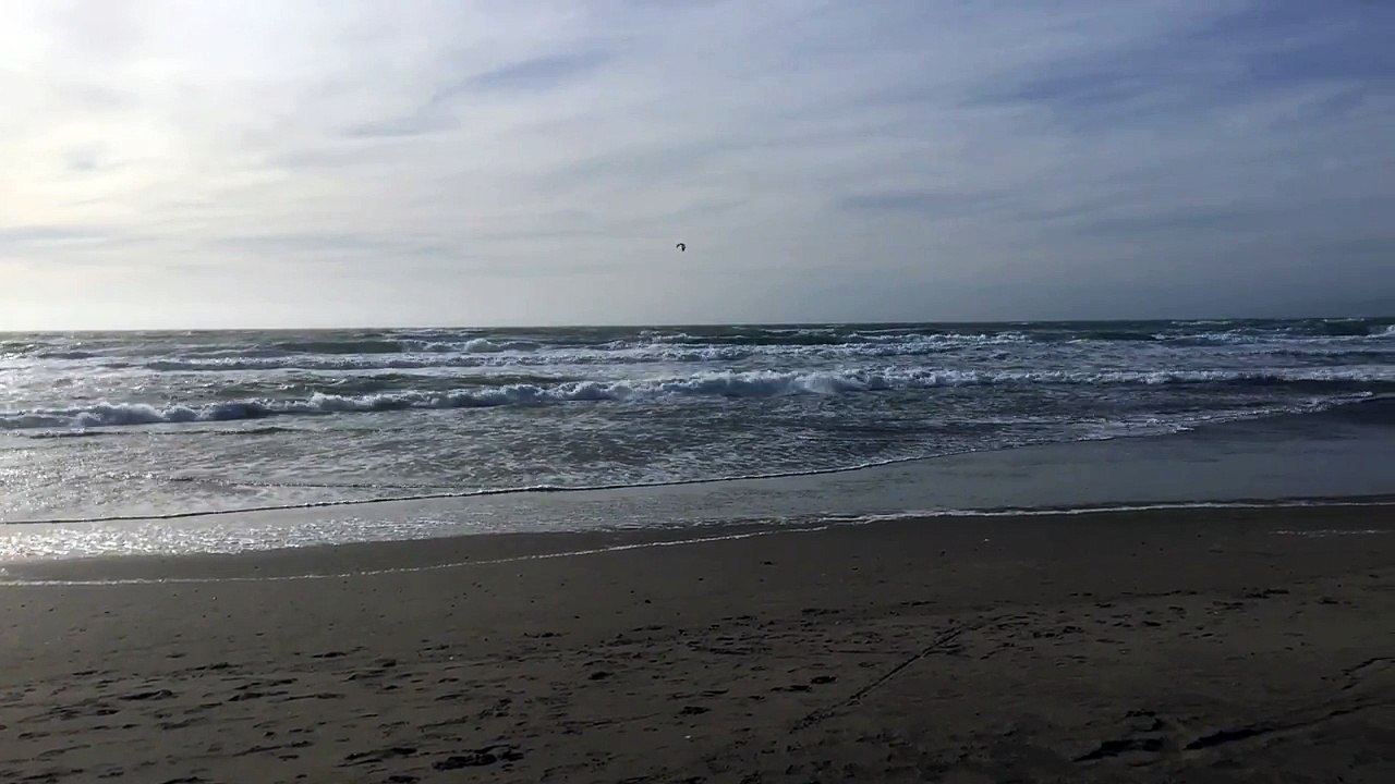 Kite surfers enjoying the wind at San Francisco's Ocean Beach