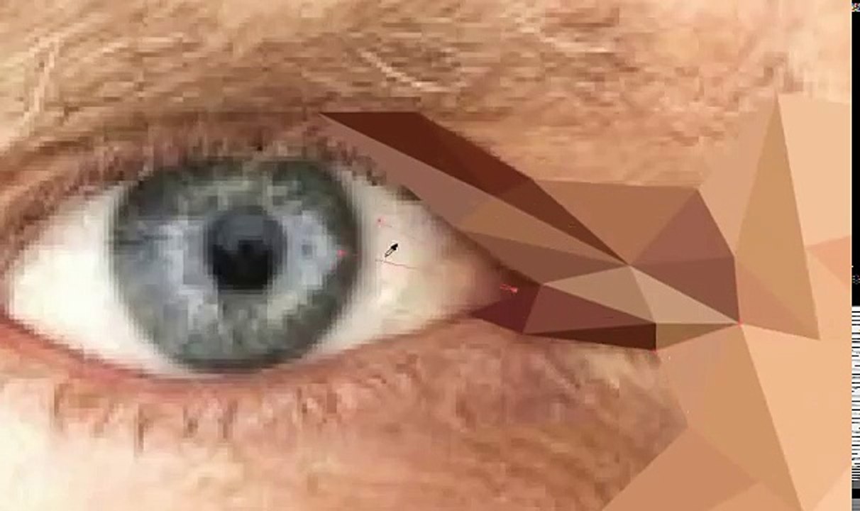 Polygon Portrait Timelapse Hugh Laurie