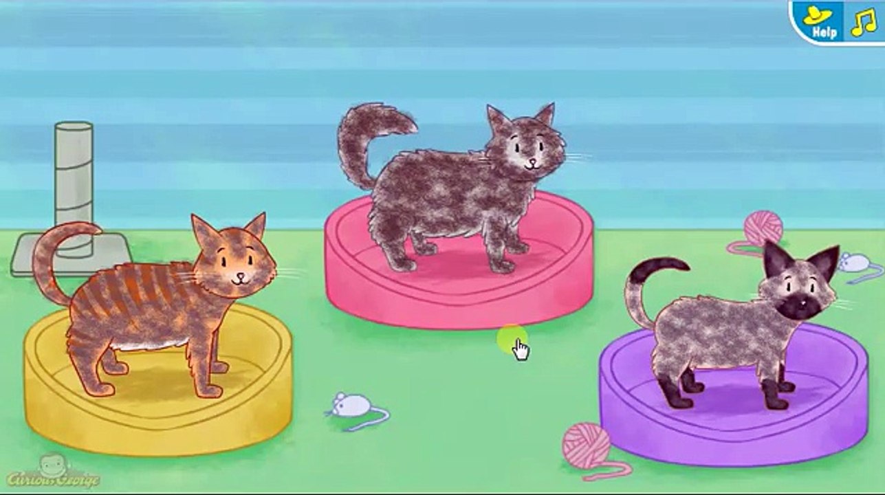 CURIOUS GEORGE Pet Day Care
