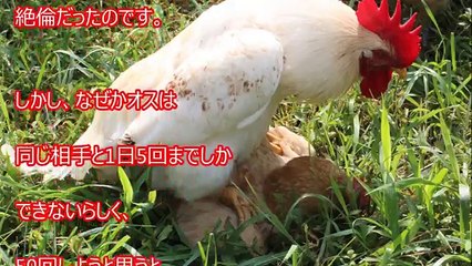 【雑学】話のネタになる大人のトリビア16選【ヒミツノトビラ】