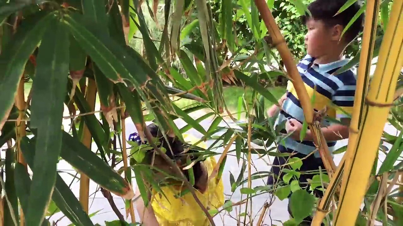 Bad baby hunt & steals Dinosaurs giant suprise eggs, toys! Nursery Rhymes learn colors for kids