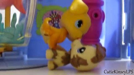 Littlest Pet Shop: Absolutely Perfect Episode 4 (Face to Face)