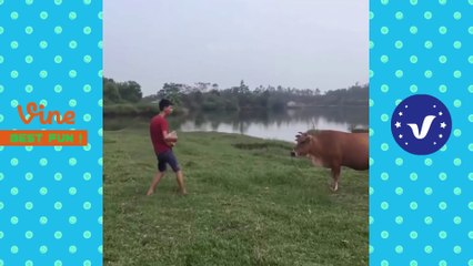 Komik Videolar 2017 ● Aptalca Şeyler Yapan İnsanlar P17