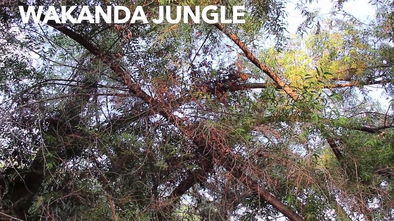 Batman vs Black Panther Superhero Real Life Battle Marvel Captain America Civil War Spiderman kids-GNUJcAF5h7k