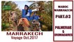 MAROC 2017. Part 03. Palmeraie de Marrakech et dromadaires (Hd 180p50)