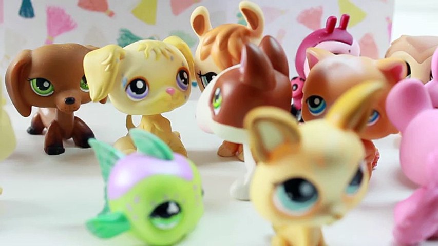 littlest pet shop black friday
