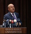 Dışişleri Bakanı Mevlüt Çavuşoğlu: 