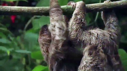 Hugs are free in Costa Rica.