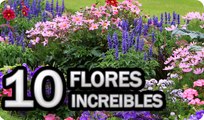 10 Flores Esenciales En Todos Los Huertos o Jardines || La Huertina De Toni