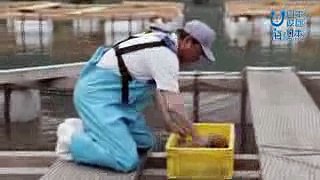 2017年 #5 漁師 浜家直澄さんインタビュー 海×浜家直澄  海と日本PROJECT in ふくい
