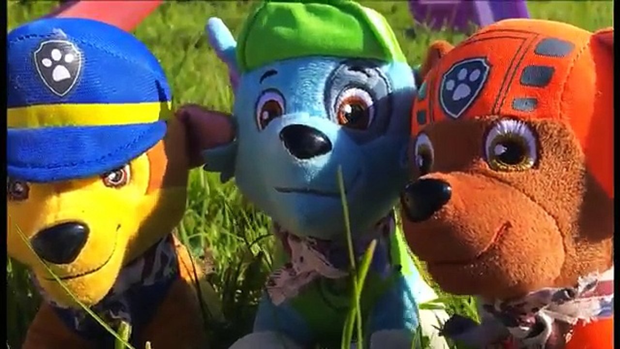 La Patrulla Canina va de Camping Paw Patrol español Exploradores Parte 2