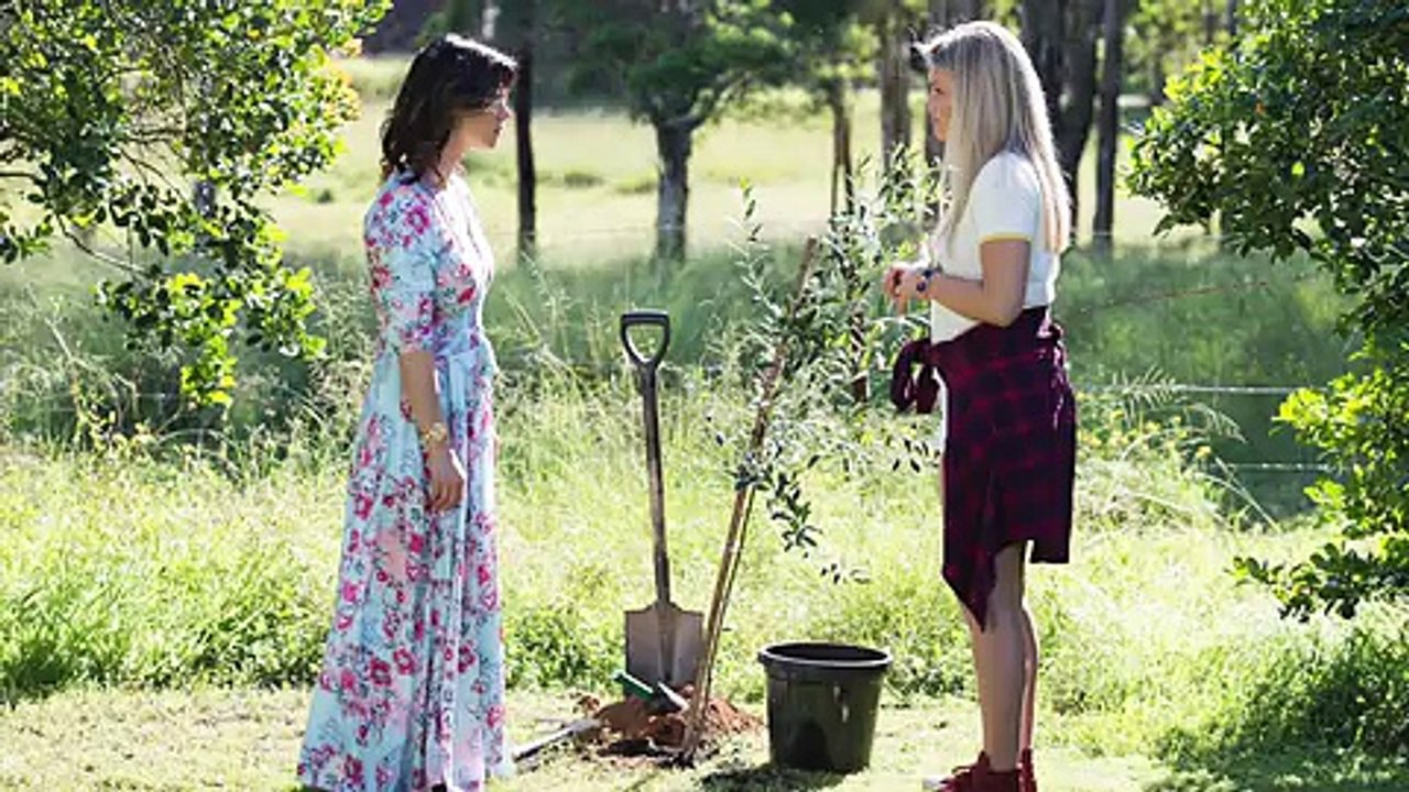 Home and Away Preview Gallery (Oct 30-Nov 2)